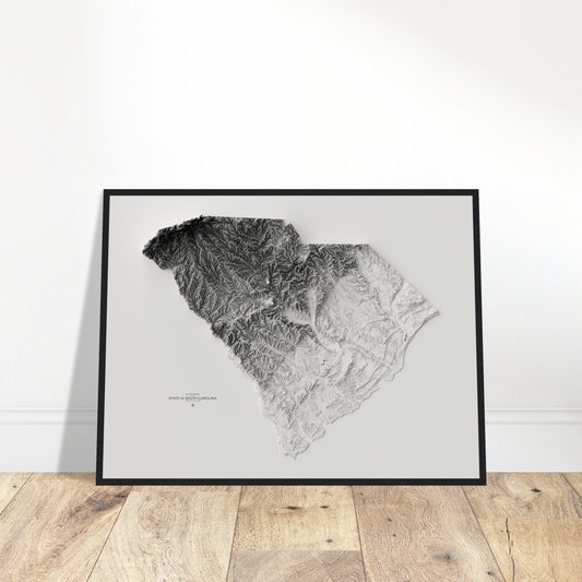 South Carolina Elevation Map