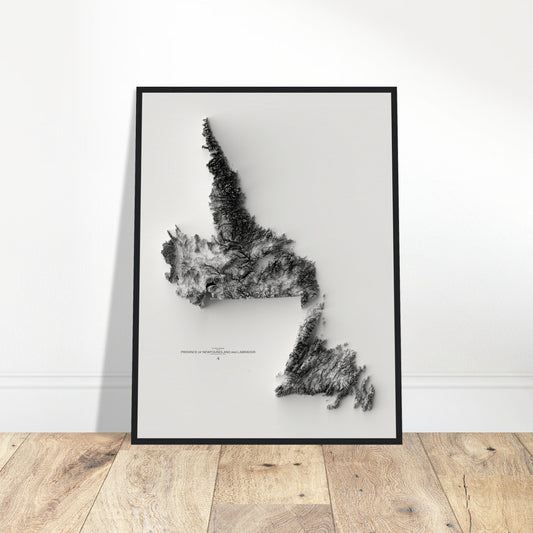 Province of Newfoundland & Labrador Elevation Map