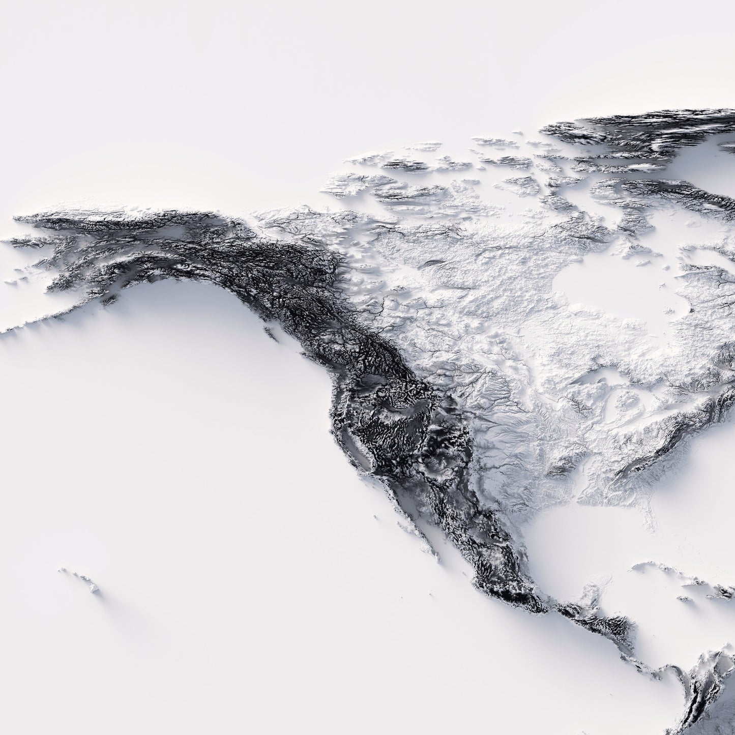 World Elevation Map