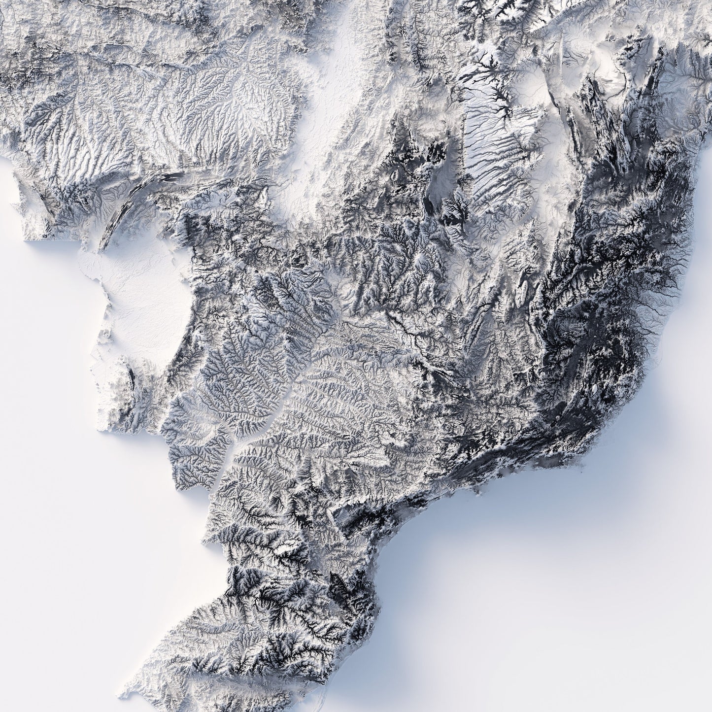 World Elevation Map